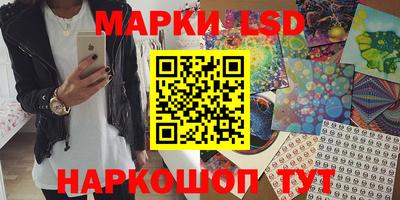 эйфоретик Берёзовский