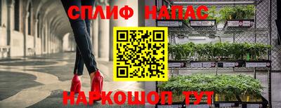 эйфоретик Берёзовский