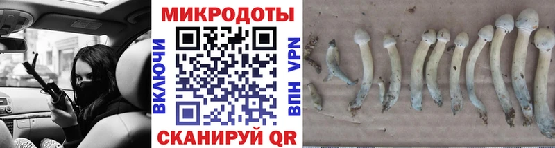 Псилоцибиновые грибы ЛСД  где можно купить   Гудермес 