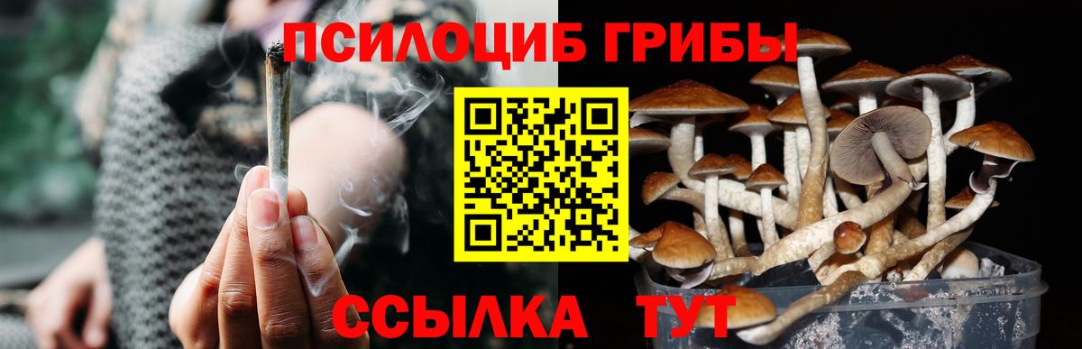 Галлюциногенные грибы Cubensis Гудермес