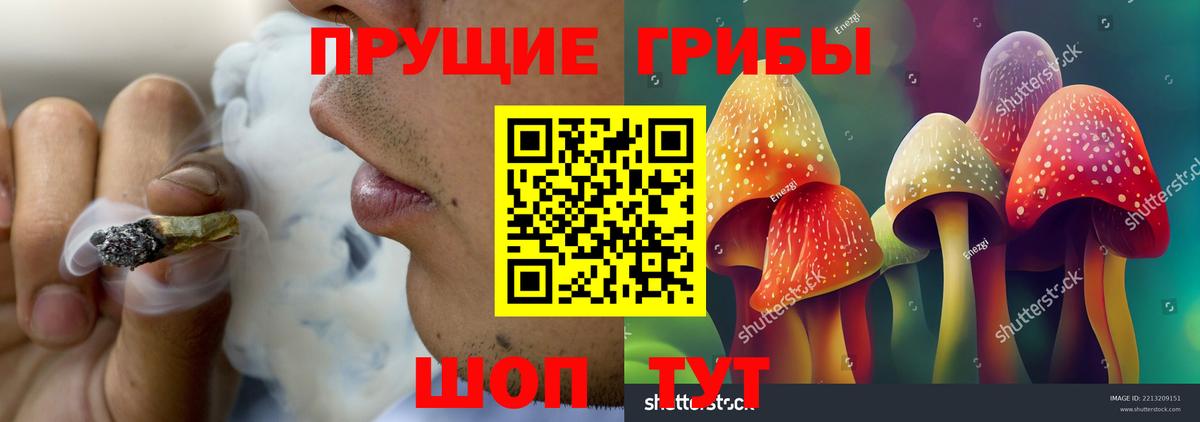 Галлюциногенные грибы мухоморы  Вход с VPN  купить наркотик  Гудермес 
