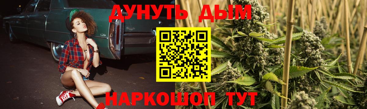 Каннабис гибрид Гудермес
